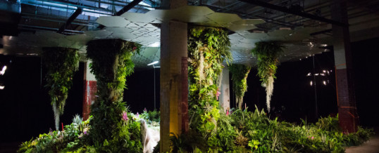Lowline in LES a reality or a dream?