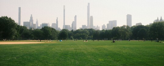 What Held Back New Development in New York in 2025